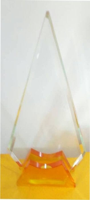 Transparent rectangular crystal trophy with company design